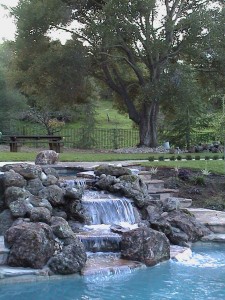 Albuquerque Landscape Architect designed pool and waterfall