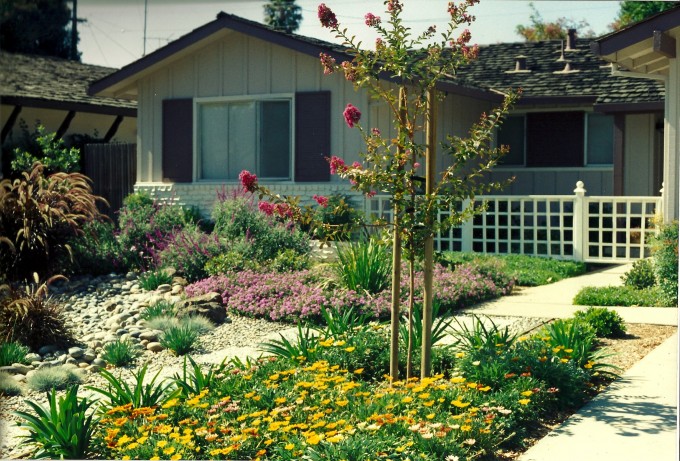 Albuquerque Xeriscape Rebate:  How you can turn your lawn into water credit dollars.